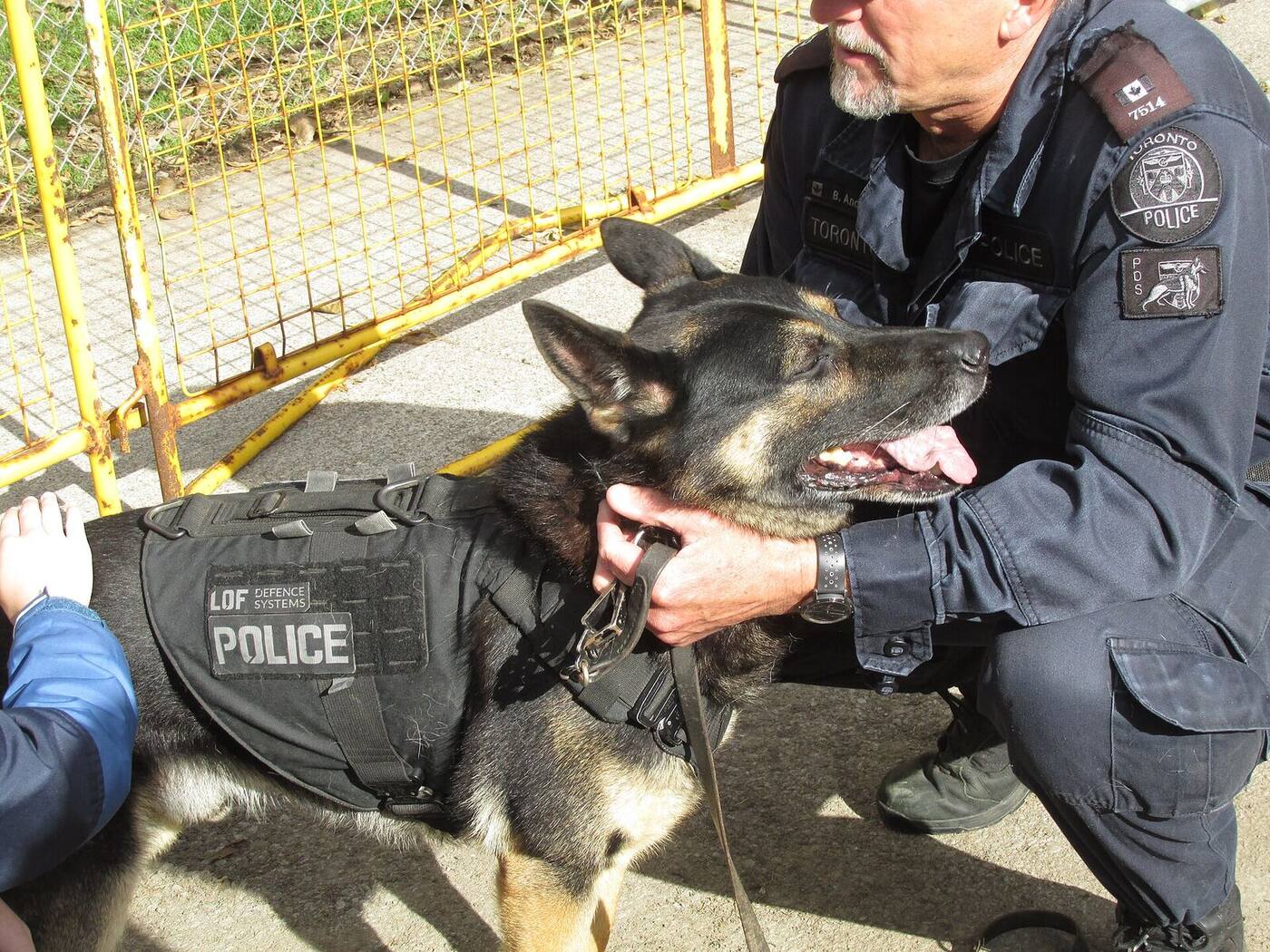 警犬资料图（图库照片）
